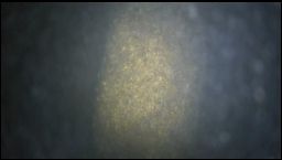 Internal LED in Tampa Bay at Night (Dirty Water)